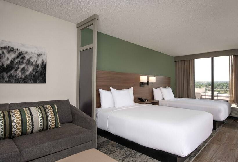 Номер Стандарт 2 Двуспальные Кровати, Hyatt Place Denver South/park Meadows