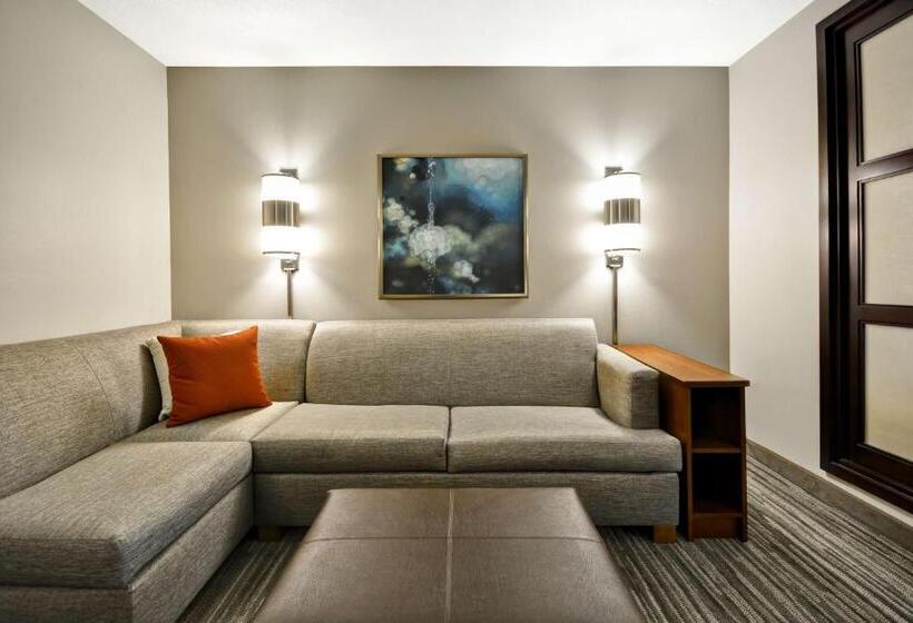 Номер Стандарт 2 Двуспальные Кровати, Hyatt Place Kansas City/overland Park/metcalf