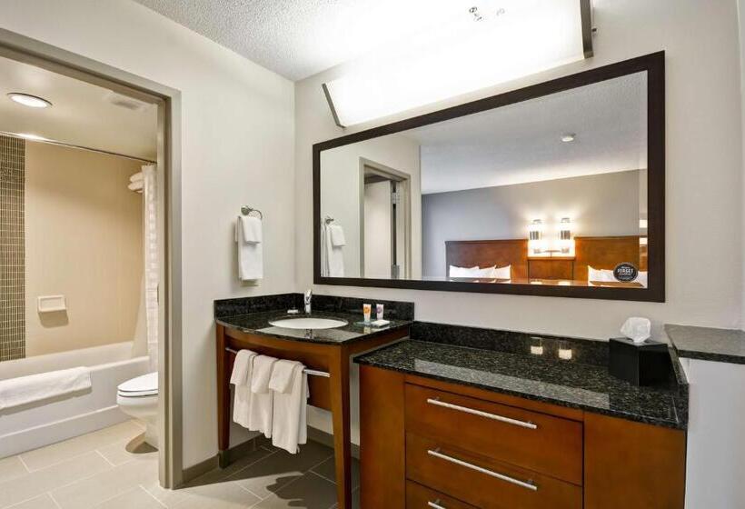 Номер Стандарт Кровать Кинг Адаптированный для Инвалидов, Hyatt Place Kansas City/overland Park/metcalf