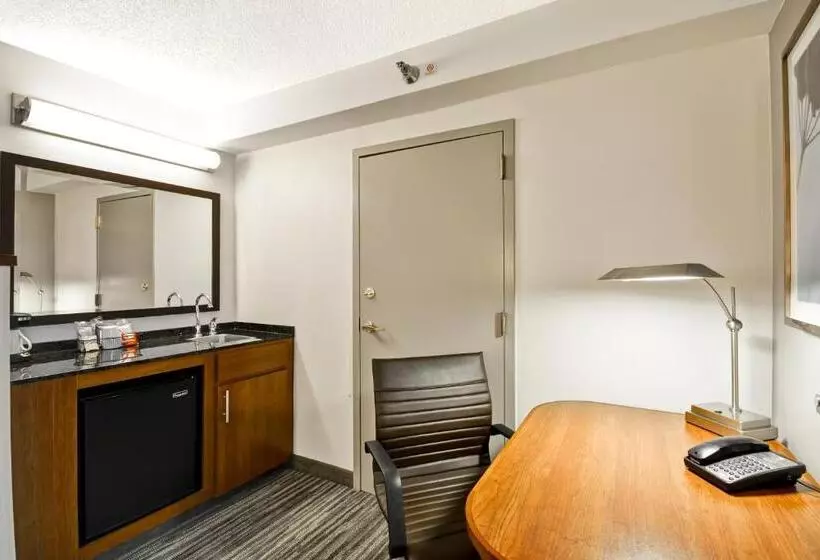 身障者適用キングサイズベッドルーム, Hyatt Place Kansas City/overland Park/metcalf