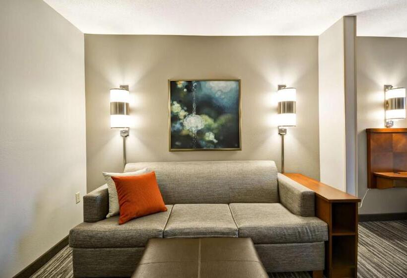 身障者適用キングサイズベッドルーム, Hyatt Place Kansas City/overland Park/metcalf