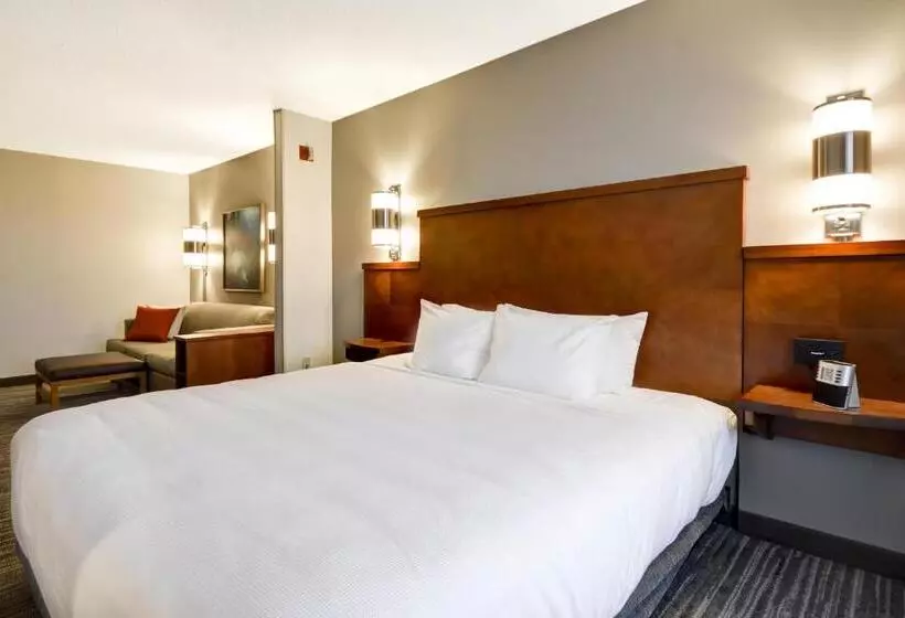身障者適用キングサイズベッドルーム, Hyatt Place Kansas City/overland Park/metcalf