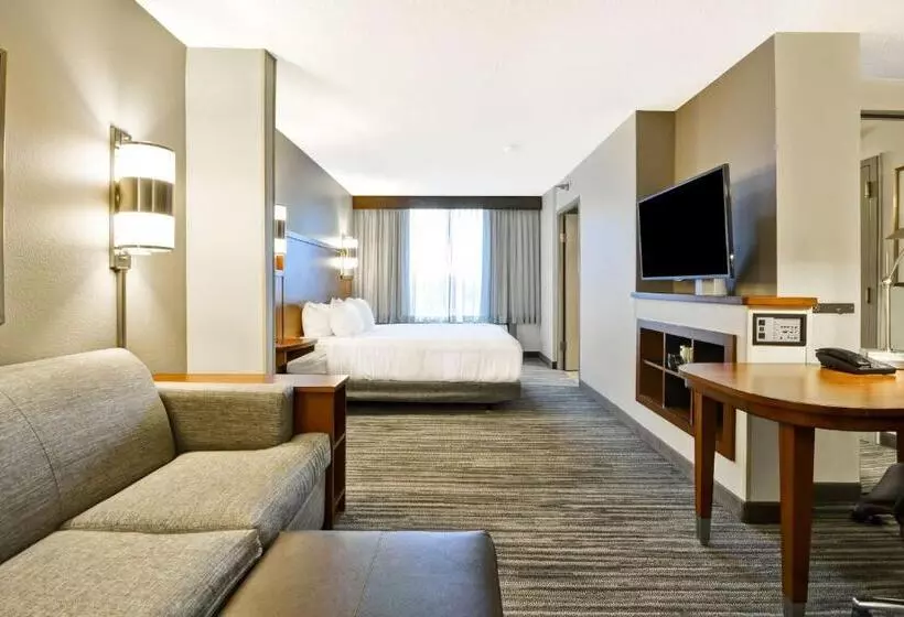 身障者適用キングサイズベッドルーム, Hyatt Place Kansas City/overland Park/metcalf