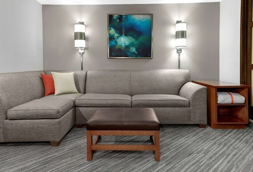 Номер Стандарт 2 Двуспальные Кровати, Hyatt Place Sacramento Rancho Cordova