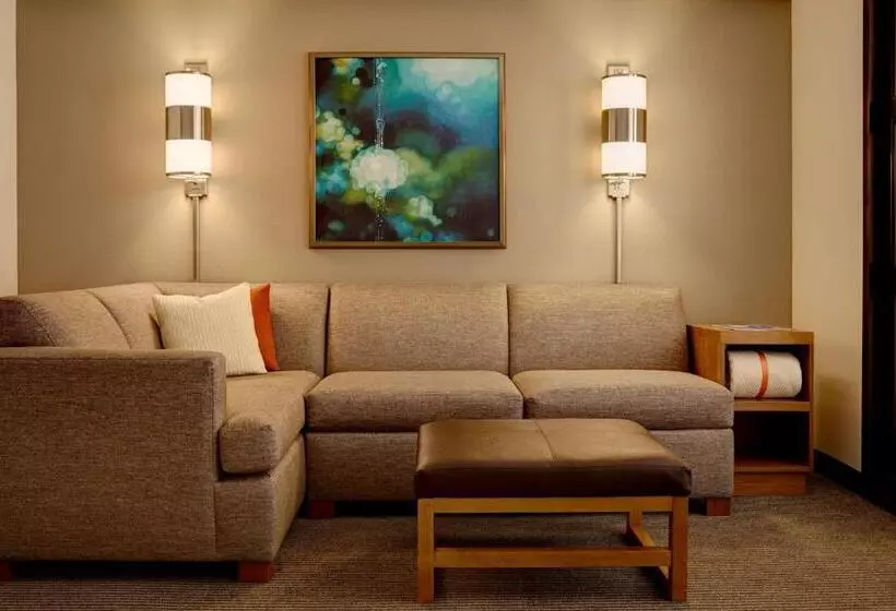 Standard-invahuone King-vuode, Hyatt Place Scottsdale/old Town