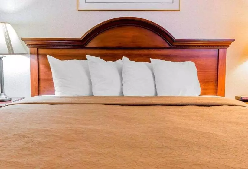 キングサイズベッドのスタンダードルーム, Quality Inn Grand Rapids North