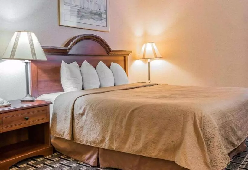 キングサイズベッドのスタンダードルーム, Quality Inn Grand Rapids North