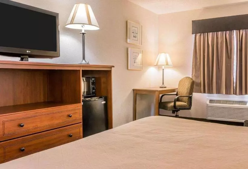 キングサイズベッドのスタンダードルーム, Quality Inn Grand Rapids North