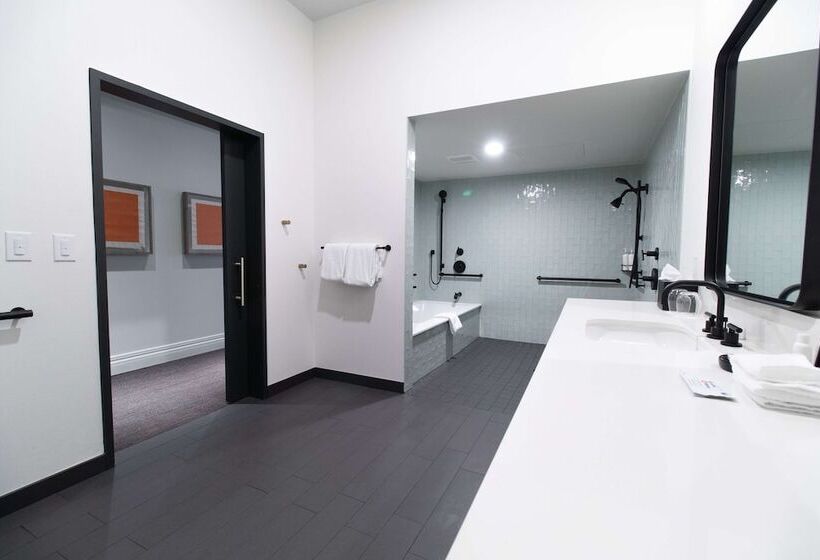 장애인용 디럭스룸, The Alexis Royal Sonesta Hotel Seattle