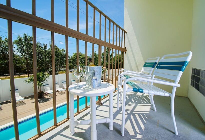 غرفه قياسيه سريرين مزدوجين, The Bay Resort