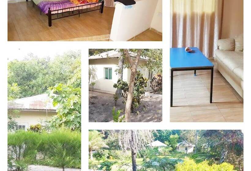 اتاق لوکس, Dalaba Eco Lodge