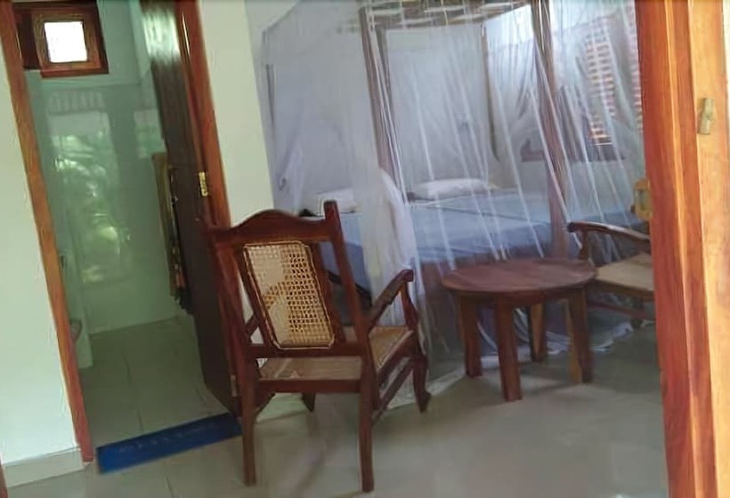 דירת חדר דלוקס, My House