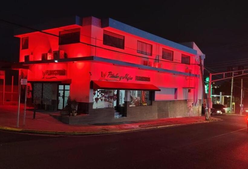 سوییت لوکس, Itza Bella Suites