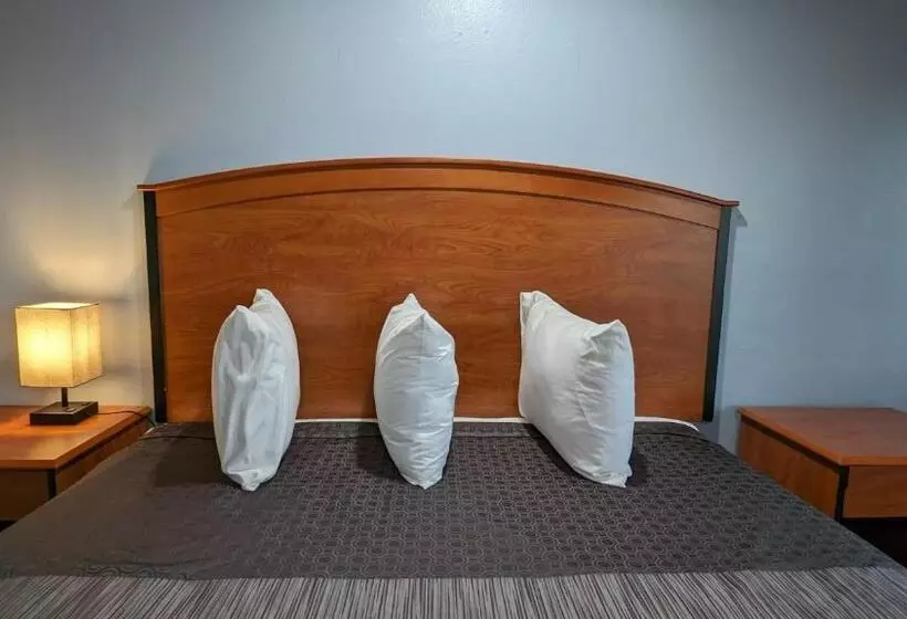 اتاق لوکس با تخت بزرگ, Best Motel