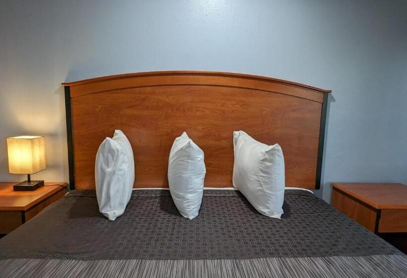 标准间, Best Motel