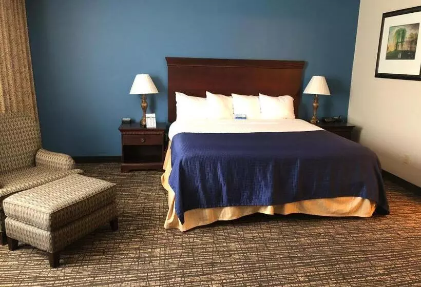 キングサイズベッド、ビュー付きデラックスルーム, Baymont By Wyndham Washington
