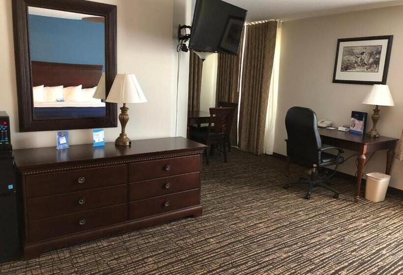 غرفة ديلوكس سرير كينج ذات إطلالة, Baymont By Wyndham Washington