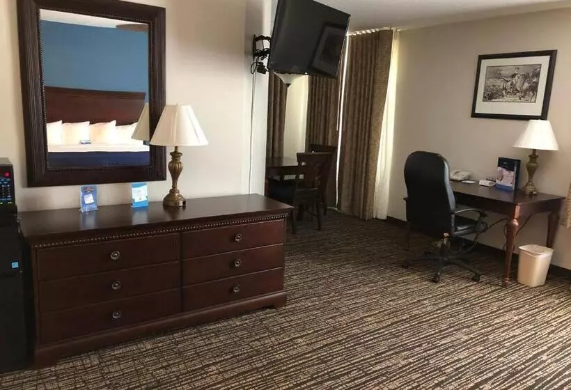 キングサイズベッド、ビュー付きデラックスルーム, Baymont By Wyndham Washington