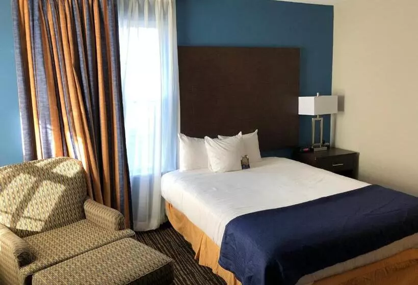 身障者適用スタンダードルーム, Baymont By Wyndham Washington