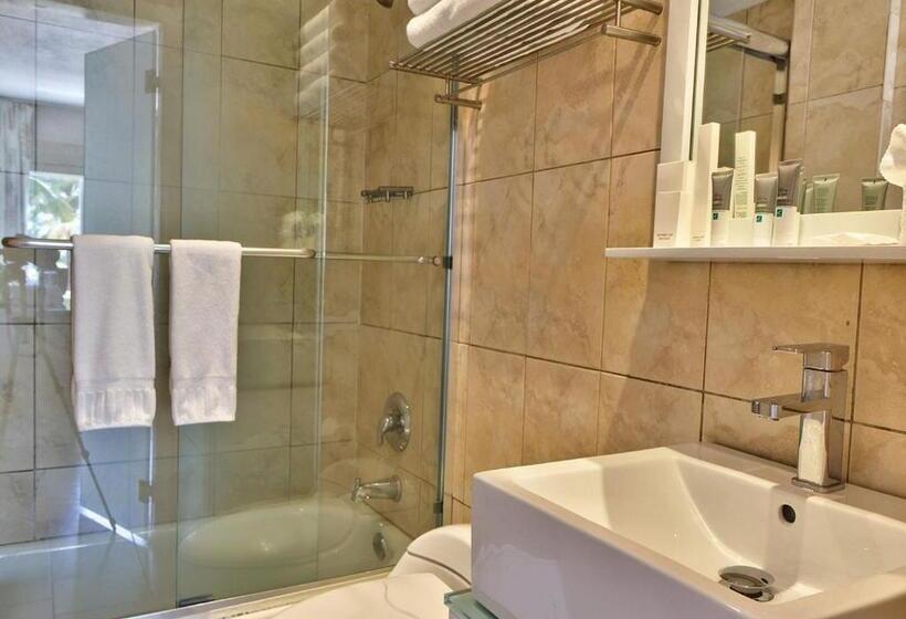 غرفة قياسية مطلّة علي البحر, Beacon South Beach