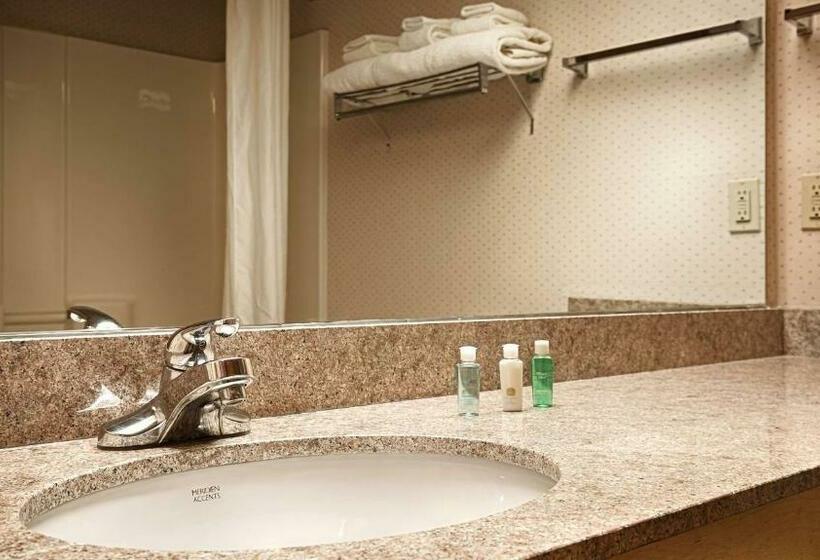 غرفة قياسية لذوى الاحتياجات الخاصة, Best Western Circus City Inn