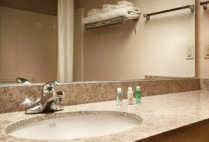 身障者適用スタンダードルーム, Best Western Circus City Inn