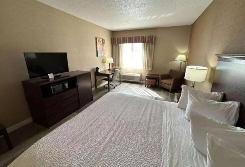 キングサイズベッドのスタンダードルーム, Best Western Circus City Inn