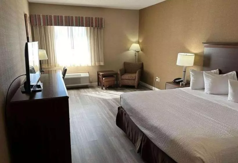 キングサイズベッドのスタンダードルーム, Best Western Circus City Inn