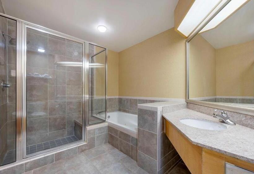 Полулюкс Кровать Кинг, Best Western Circus City Inn
