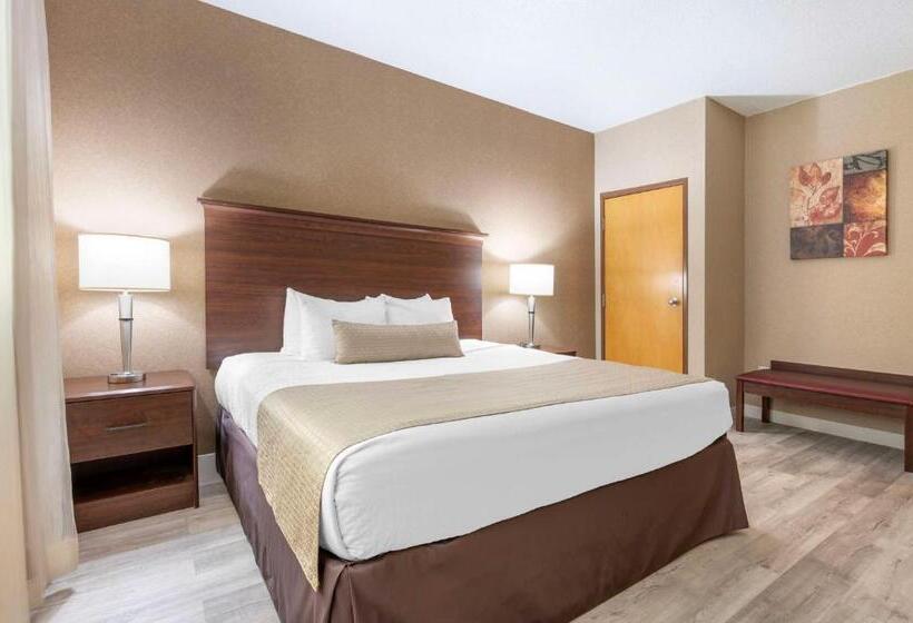 جناح جونيور سرير كينج, Best Western Circus City Inn