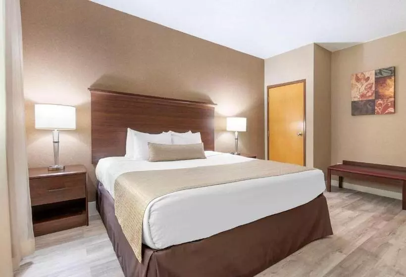 キングサイズベッドのジュニアスイート, Best Western Circus City Inn