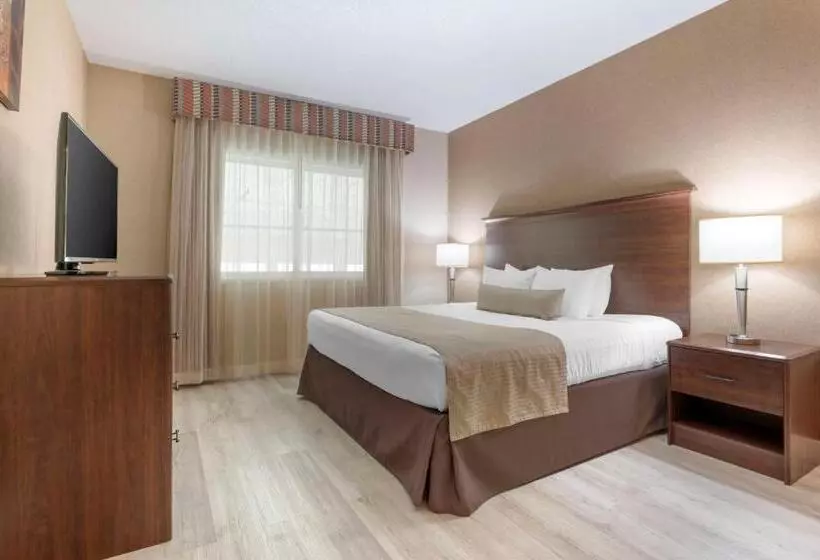 キングサイズベッドのジュニアスイート, Best Western Circus City Inn