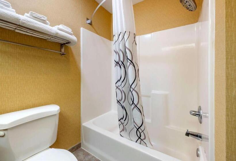 Номер Стандарт, Best Western Circus City Inn