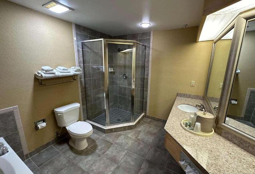 جناح سرير كينج, Best Western Circus City Inn