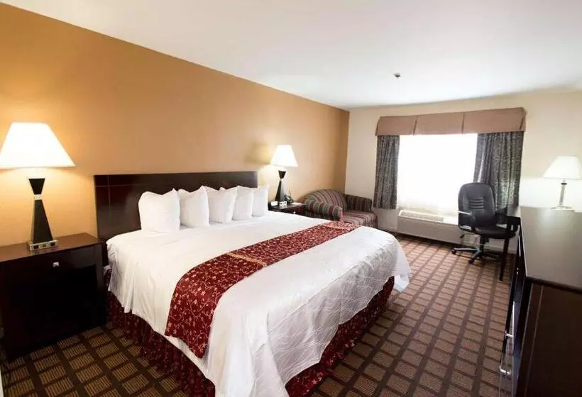 キングサイズベッドのスタンダードルーム, Best Western Oakbrook Inn