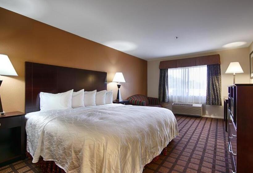 اتاق استاندارد با تخت بزرگ برای معلولان, Best Western Oakbrook Inn