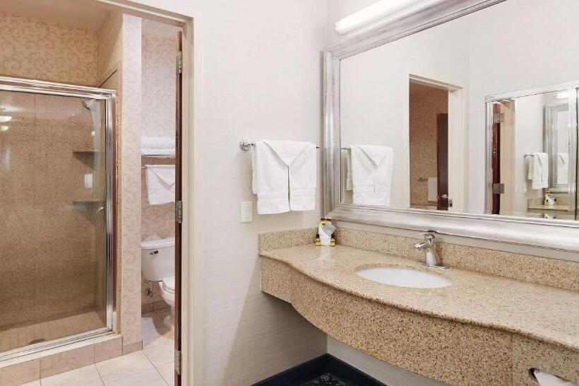 סוויטת 2 חדרי שינה, Best Western Plus Abbey Inn