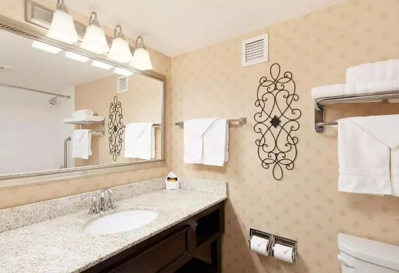 اتاق استاندارد با تخت بزرگ برای معلولان, Best Western Plus Abbey Inn