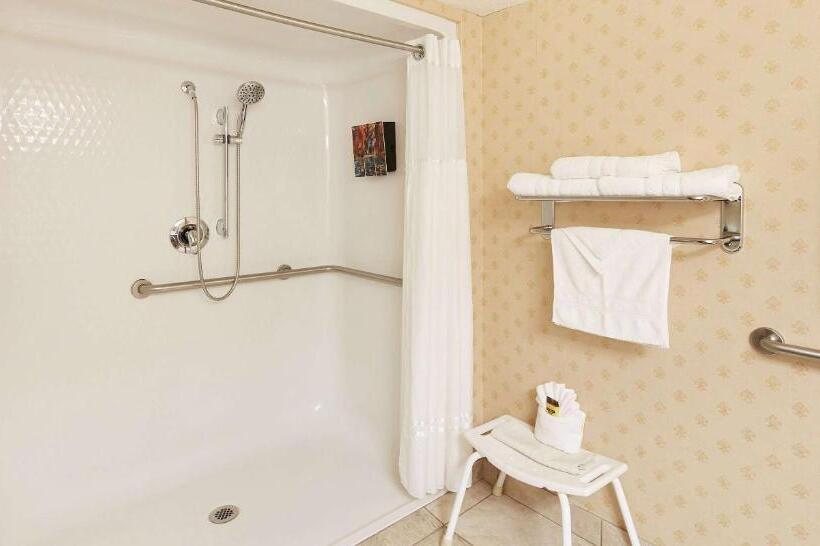 חדר סטנדרט, מיטת קינג, מותאם לאדם עם מוגבלויות, Best Western Plus Abbey Inn