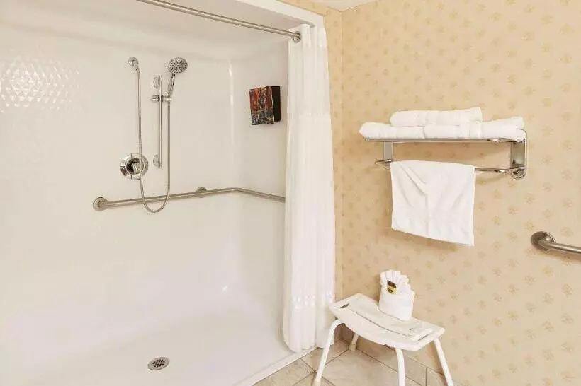 اتاق استاندارد با تخت بزرگ برای معلولان, Best Western Plus Abbey Inn
