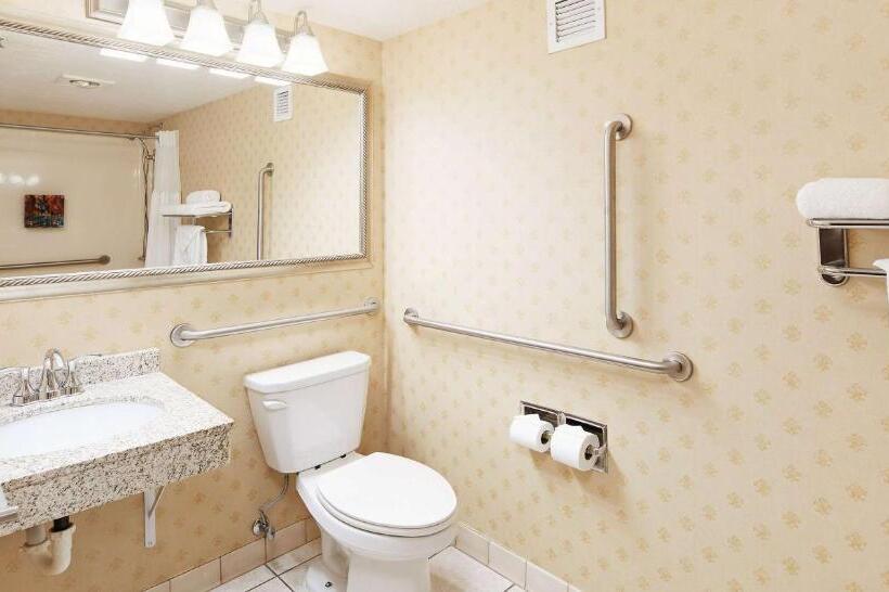 חדר סטנדרט, מיטת קינג, מותאם לאדם עם מוגבלויות, Best Western Plus Abbey Inn