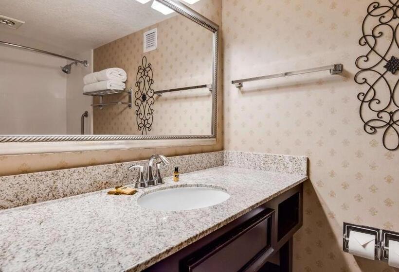 חדר סטנדרט, מיטת קינג, מותאם לאדם עם מוגבלויות, Best Western Plus Abbey Inn