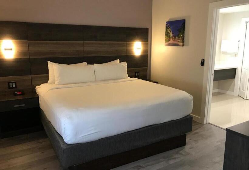 מיטת קינג בסוויטה, Hom, A Trademark Collection