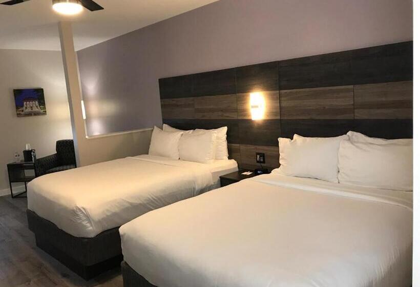 חדר דלוקס, Hom, A Trademark Collection