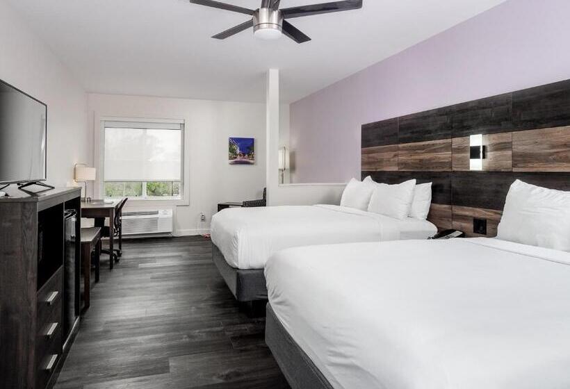 חדר דלוקס, Hom, A Trademark Collection