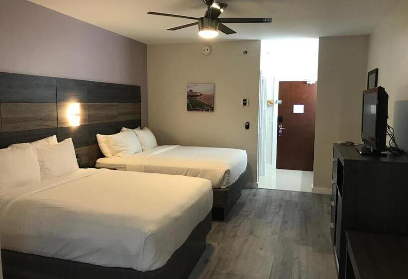 חדר סטודיו סטנדרד, Hom, A Trademark Collection