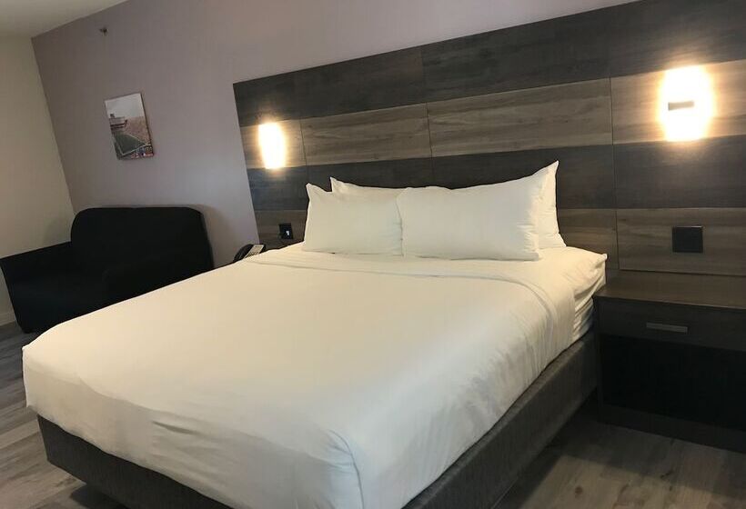 חדר דלוקס, Hom, A Trademark Collection