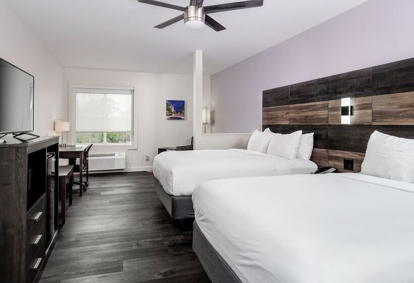 חדר דלוקס, Hom, A Trademark Collection