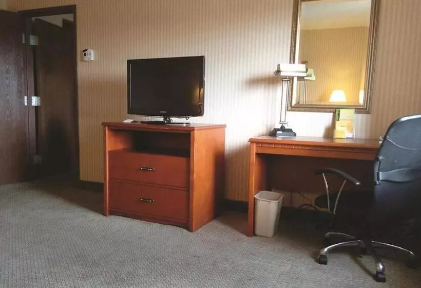 スタンダードシングルルーム, La Quinta Inn By Wyndham Detroit Southgate