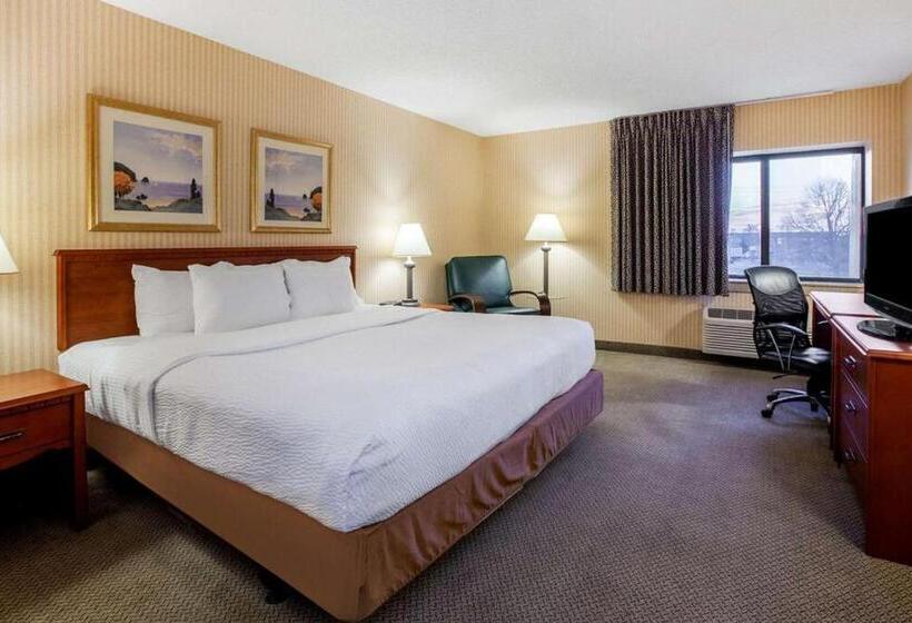 غرفة قياسية فردية, La Quinta Inn By Wyndham Detroit Southgate